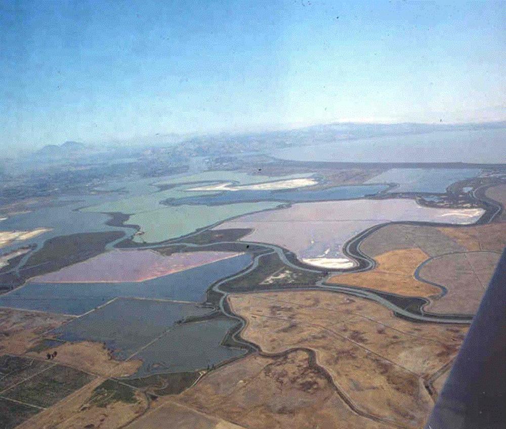 Napa River Salt Marsh Restoration Background Site diked (9,500ac), used for agriculture, and later salt ponds (7,200 ac) Current problems include water quality and