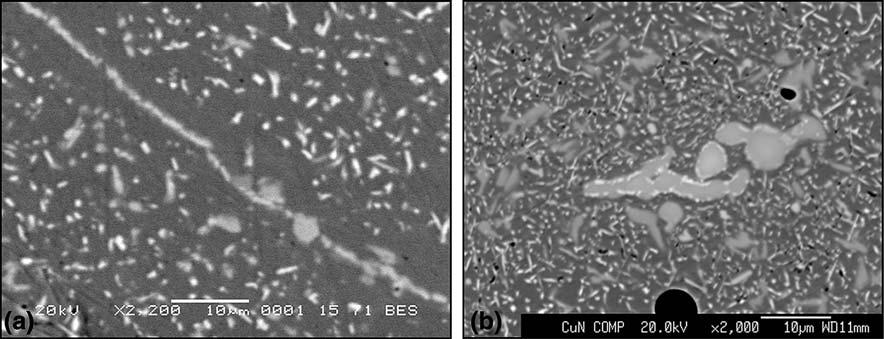 Fig. 1 Backscattered images of CK3MCuN after 850 C for 500 h (left) and 800 C for 500 h (right) Table 1 As-received compositions for CN3MN and CK3MCuN keel bars CN3MN CK3MCuN Table 2 Microprobe WDS