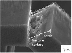 Fracture behavior of Mg 12 ZnY intermetallic compound Figures 5(a) and (b) show a scanning electron micrograph of the fracture surface after the fracture tests.