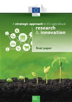 A strategic approach to agricultural research Long-term programming has already resulted in the development of a comprehensive portfolio and critical mass of activities Example: Diversification