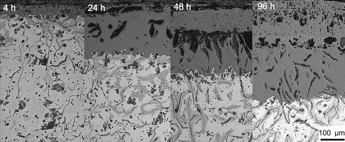 Oxid Met (2011) 76:161 168 167 Fig. 5 Optical micrograph of oxide layer growth behavior of flake graphite cast iron exposed to 750 C in air for 4 96 h.