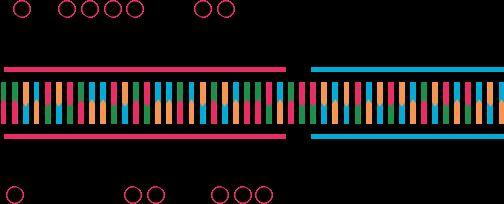TARGET DESIGN OPTIONS Whether it s a genome-wide screen or a pre-assembled or custom target list, Desktop Genetics will design a comprehensive library according to the regions you want