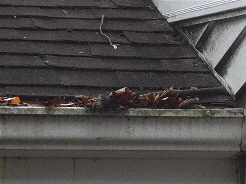 Improve Aluminum Main roof section blocked with debris Gutters are blocked with