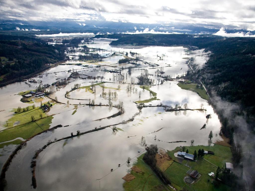 100 year flood flows increase +18% to +55%, on average, by the 2080s in the 12 largest Puget Sound rivers Nisqually