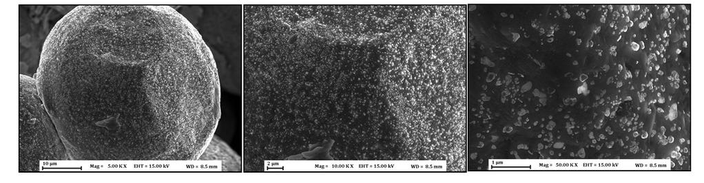 Fig. 10 - SEM micrographs of Alloy 718 powder after four cycles of EBM processing.