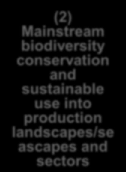 biodiversity conservation and sustainable use into