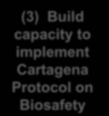 capacity to implement Cartagena Protocol on Biosafety