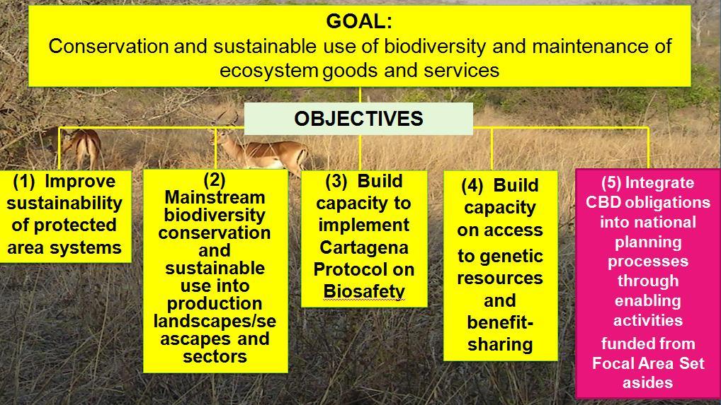 GEF Focal Area Strategy May be addressed through GEF