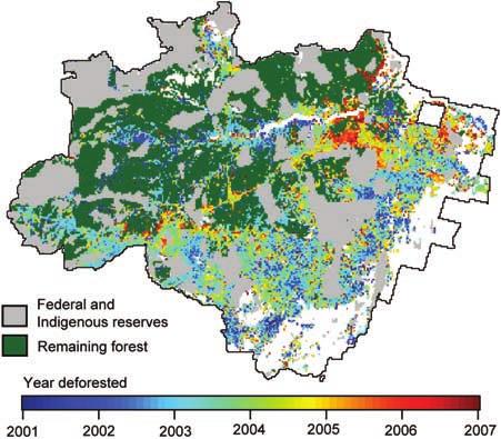 Figure 1. The history of deforestation in the Brazilian Amazon from 2001 (blue) through 2007 (red). White areas were not forested in 2000. Green areas were forested in 2007.