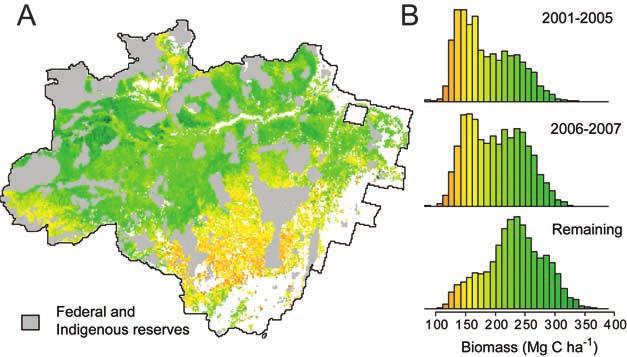 Figure 2. (a) Pre-deforestation biomass (Mg C ha 1 ) in the Brazilian Amazon. Federal and indigenous reserves are in gray.