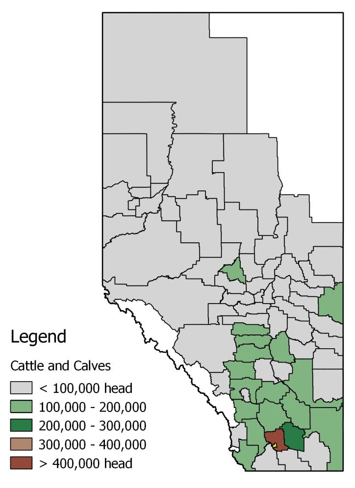 Economic Livestock Sectors Lethbridge County is a hotbed of the cattle industry, with heavy emphasis on confined feedlot feeding.