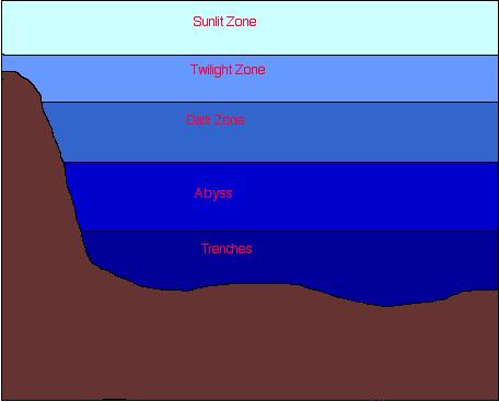 DEEP OCEAN Present Time You are currently a molecule of carbon in the deep ocean. 1 Stay in the deep ocean. 2 Stay in the deep ocean.