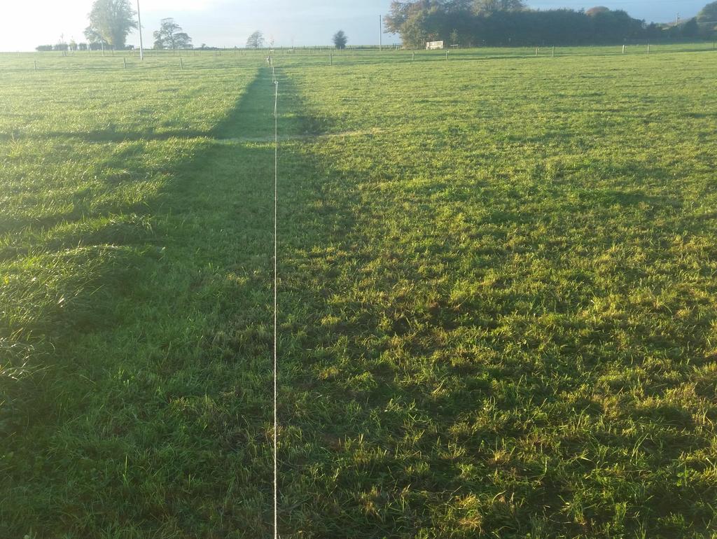 Pre grazing herbage mass 1300 1500 kg DM/ha Post grazing sward height 4.0 4.
