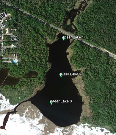 Deer Lake, Walton County Lake Description Outfall: present Watershed area: 127 hectares Lake surface area: 16.9 hectares Average depth: 2.