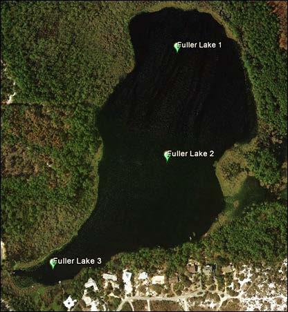 Fuller Lake, Walton County Lake Description Outfall: present through Morris Lake Watershed area: 43.3 hectares Lake surface area: 20.03 hectares Average depth: 1.