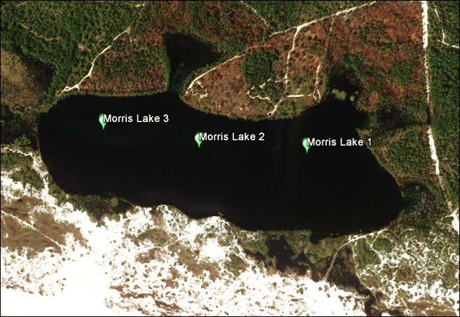 Morris Lake, Walton County Lake Description Outfall: present Watershed area: 86.6 hectares Lake surface area: 31.7 hectares Average depth: 3.