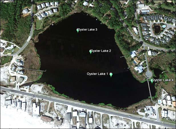 Oyster Lake, Walton County Lake Description Outfall: present Watershed area: 56.2 hectares Lake surface area: 8.9 hectares Average depth: 1.