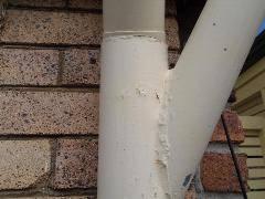 Gutters and downpipes should be kept clear of leaves and other obstructions otherwise water may cause damage to other components of the building.