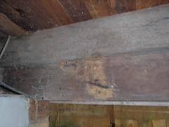 Evidence of timber pests Details No visible evidence of: Live Termites, Termite damage, Fungal Decay or Borers was detected in accessible areas at the time