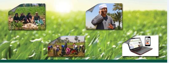 Bashaier Egypt s M-Agriculture Channel The 1 st Agriculture Marketing Network combining ICT and inclusive