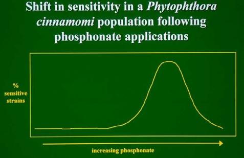 Phosphonate