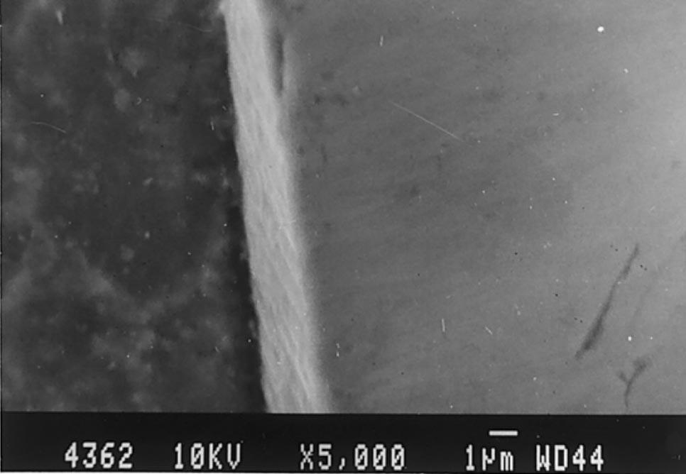 R.A. Sara anan, M.K. Surappa / Materials Science and Engineering A276 (2000) 108 116 111 Fig. 3. SEM micrograph of Mg SiC P composite showing a clean particle/matrix interface. Fig. 5.