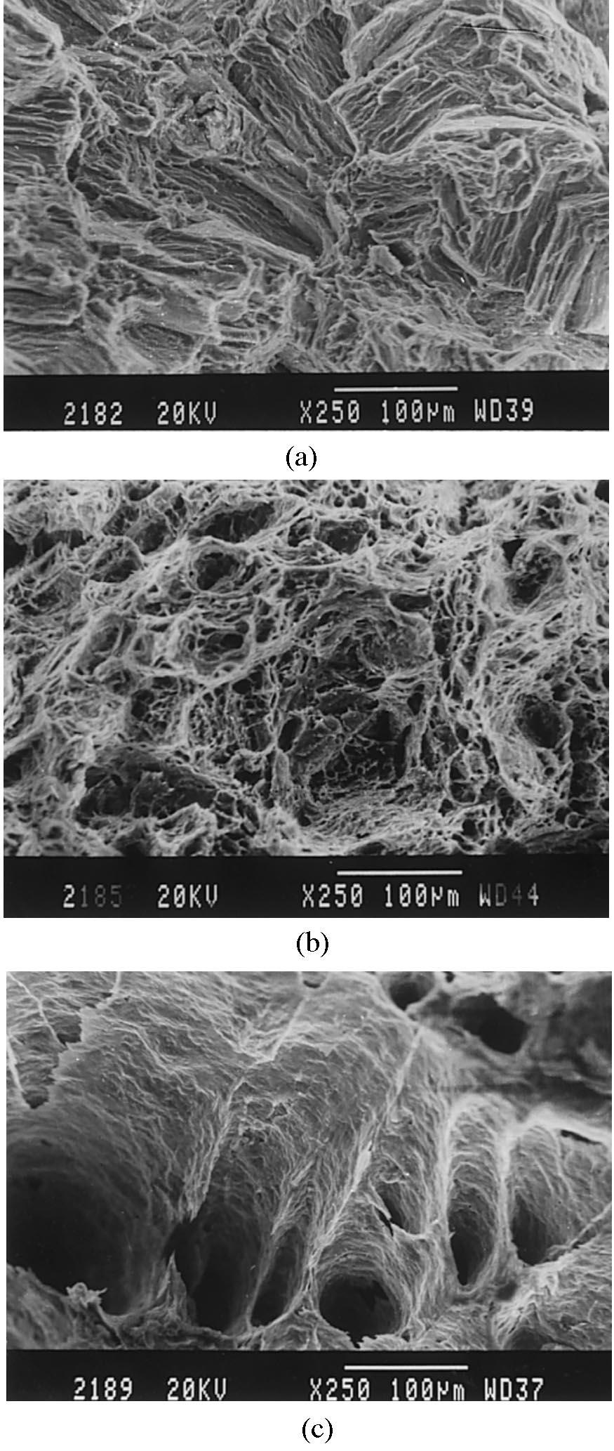 R.A. Sara anan, M.K. Surappa / Materials Science and Engineering A276 (2000) 108 116 113 Fig. 7. SEM fractographs of unreinforced Mg tested at (a) room temperature; (b) 250 C; and (c) 350 C 4.