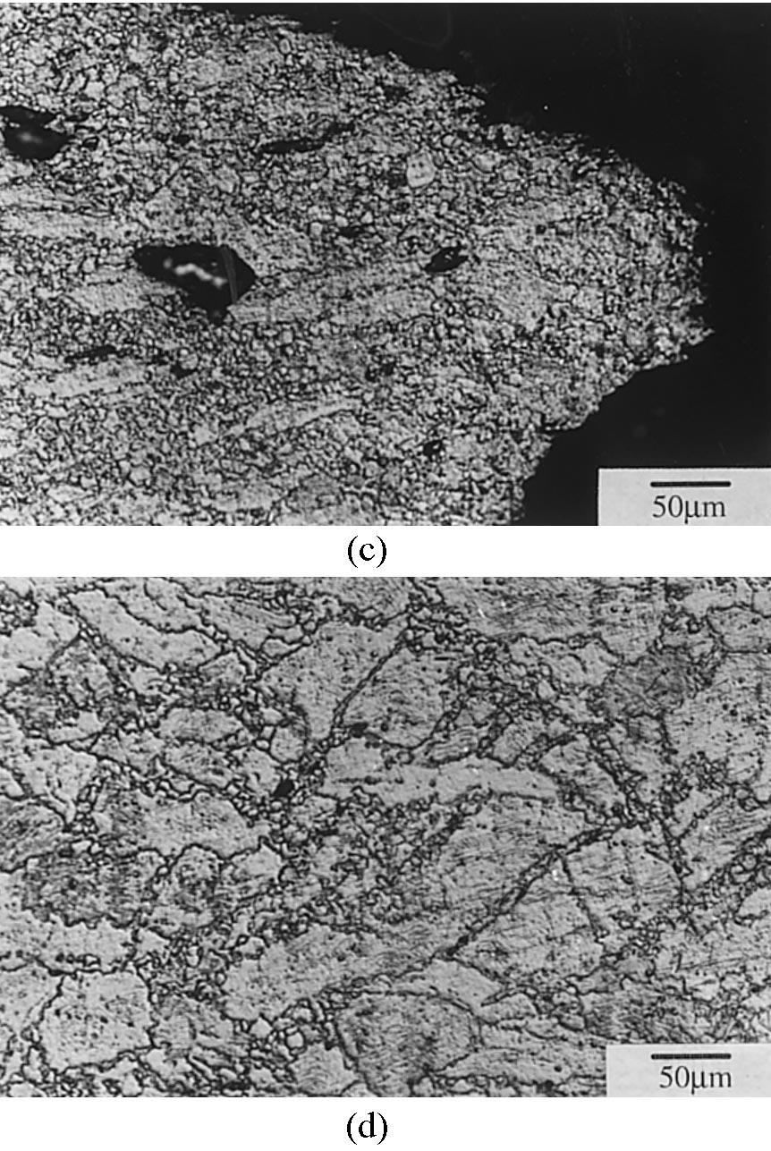 9. Optical micrographs of longitudinal sections of tensile