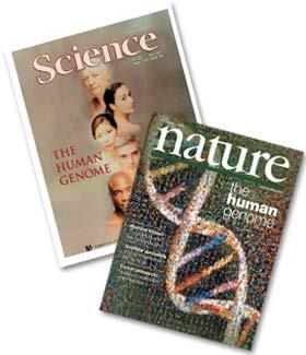 What We Have Learned In June 2000 scientists announced that a working copy of the human genome was complete.
