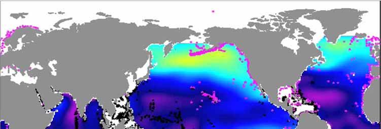 Predictions of Ocean Acidification in