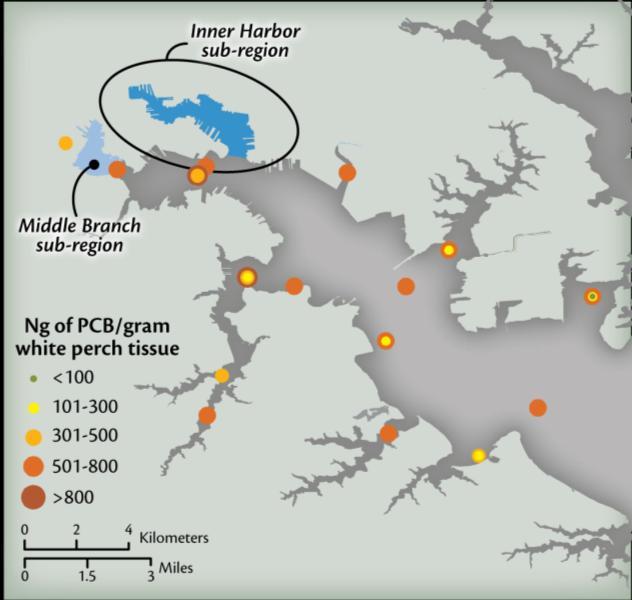 White perch data, 2000-2010 Fish consumption