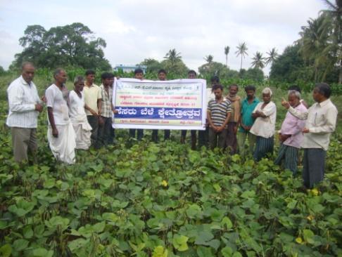 in newly introduced variety DGGV-2 in Greengram, GPBD-4 variety in Groundnut and TS-3R variety in Redgram were