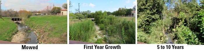 Austin Grow Zone Establish a Grow Zone along both banks of the creek, approximately 25 ft.