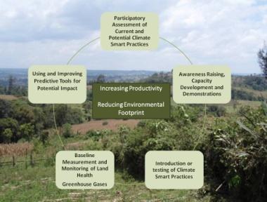 identify, assess and report their GHG emissions in agriculture, forestry and