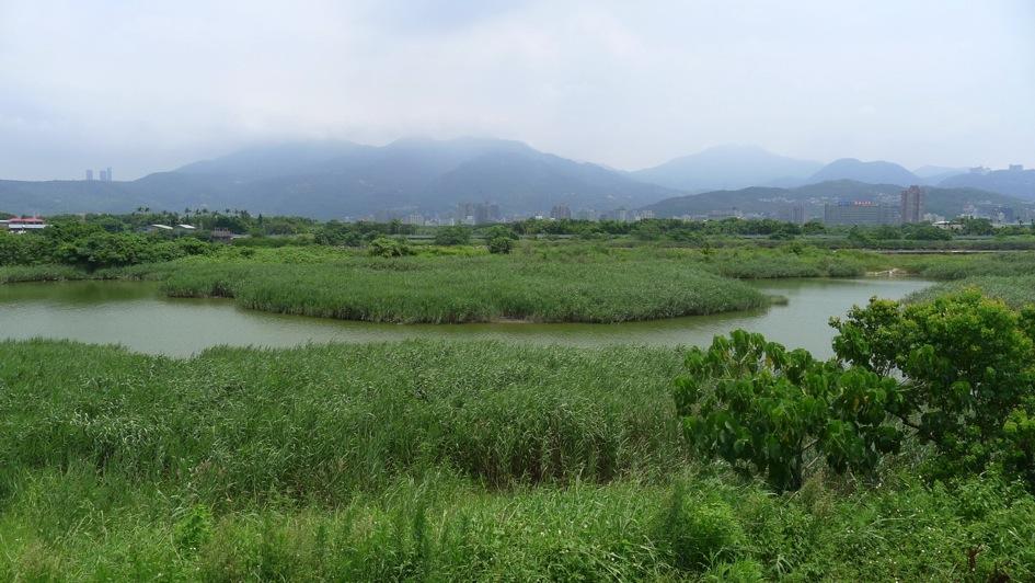 Shezidao Wetland, Keelung River Taipei Riverine