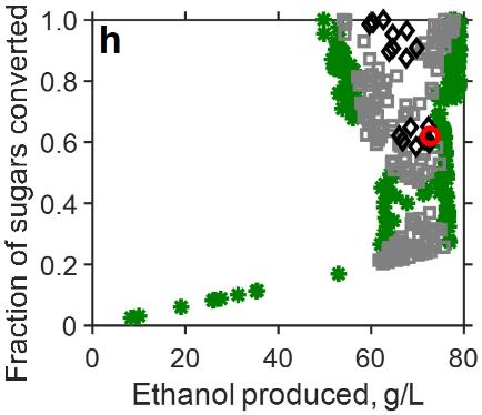 converted versus ethanol productivity h)