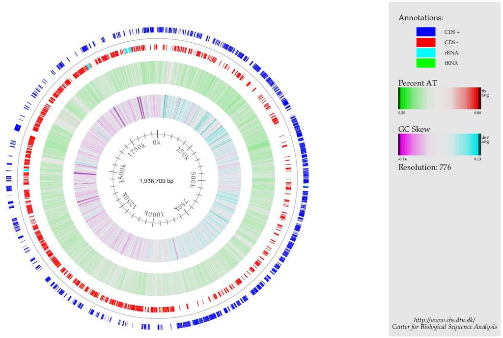 Supplementary Figure A. B. animalis subsp. lactis genome The atlas represents a circular view of the complete genome sequence of the Bl-04 chromosome.