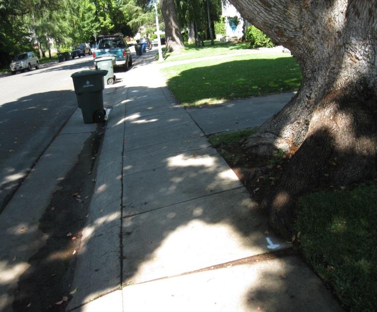 Well-maintained sidewalks and curb ramps provide safe and desirable paths for pedestrians and others to enjoy neighborhoods, commercial centers, and other areas of our city.