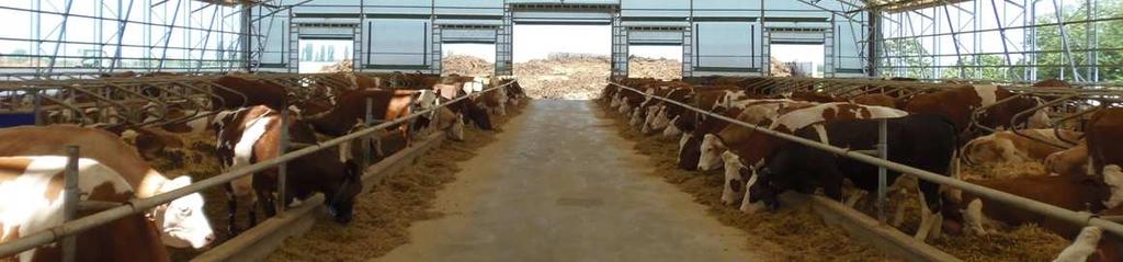 CONCLUSION cattle production is adjusting through production unit s enlargement, by introducing of modern technologies and genotypes, efficiency rising and benefit