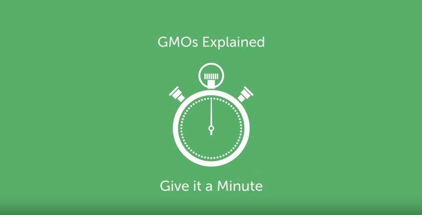 What is a GMO? https://www.