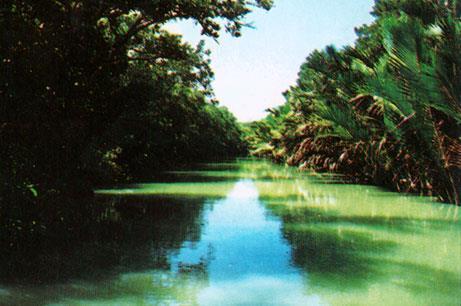 Sundarbans SLR (m)