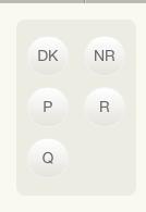 DK: Don t Know NR: No Response P: Prompt R: Repetition Q: Query Record buttons: Record buttons are located on the far right of some item cards.