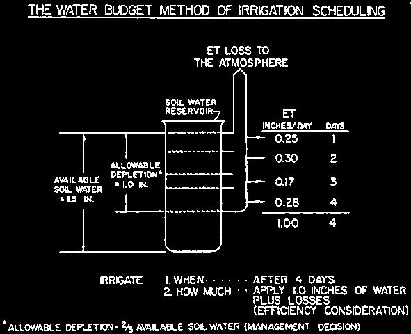 Basic Irrigation Scheduling in Florida 6 The Water Budget The water-budget procedure is also called a water balance or bookkeeping procedure. It is similar to keeping a bank account balance.