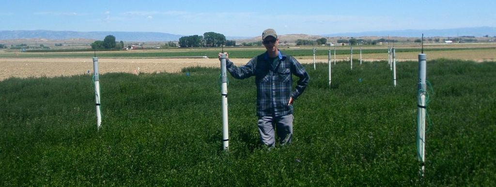 efficiency (WUE) of alfalfa for conditions in Wyoming Treatments: Three
