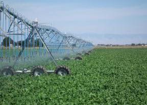 WHY IRRIGATION SCHEDULING? To make the better use of the irrigation water aiming at better profits while being responsible with our environment and our society.
