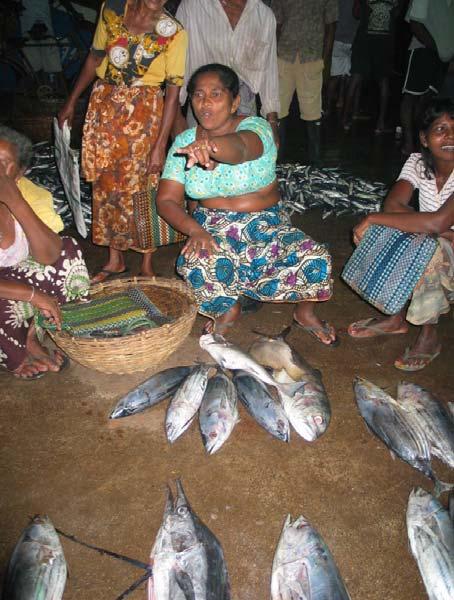 Importance of Small-scale Fisheries Small-scale fisheries are an important source of employment, food security and income, particularly in the developing world An estimated 90 per cent of the