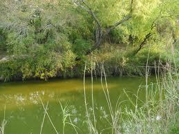 Riparian management Riparian areas are an important last line of defense for