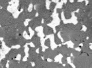Fig. 16 shows SEM micrographs at the board and