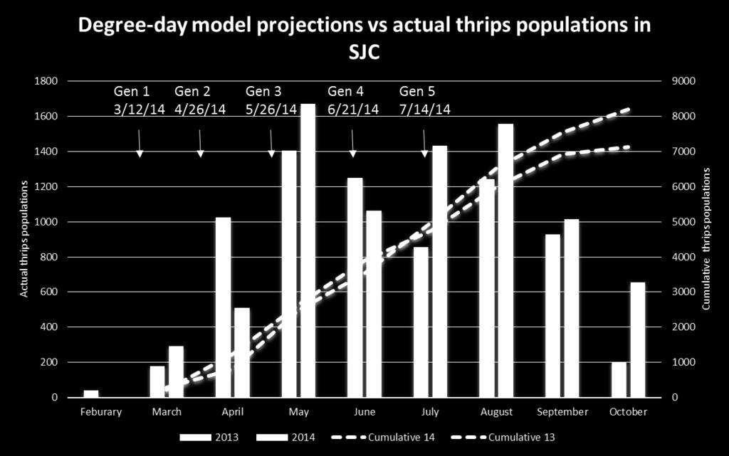 Comparison of degree day model s projections with actual average thrips counts that were determined