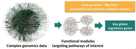 bottlenecks Optimize gene expression and additional gene modifications to maximize yield outcomes Yield10 focuses on fundamental gene traits combined with systems biology to optimize their